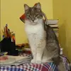 Отзыв от Пелагея Судакова